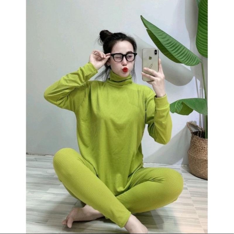 B-06 Bộ Ủ  Kem Áo Cổ Lọ Quần Ôm Vải Thun Tăm Lạnh Women Voi