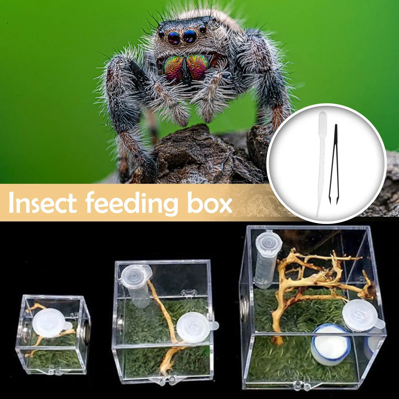 S/M/L Spider Reptile Terrarium Acrylic Reptile Breeding Box Terrarium Accessories Insect N6U3