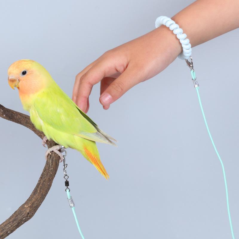 New Parrot Flying Rope Does Not Hurt Feet Ultra-Light Training Bird ...