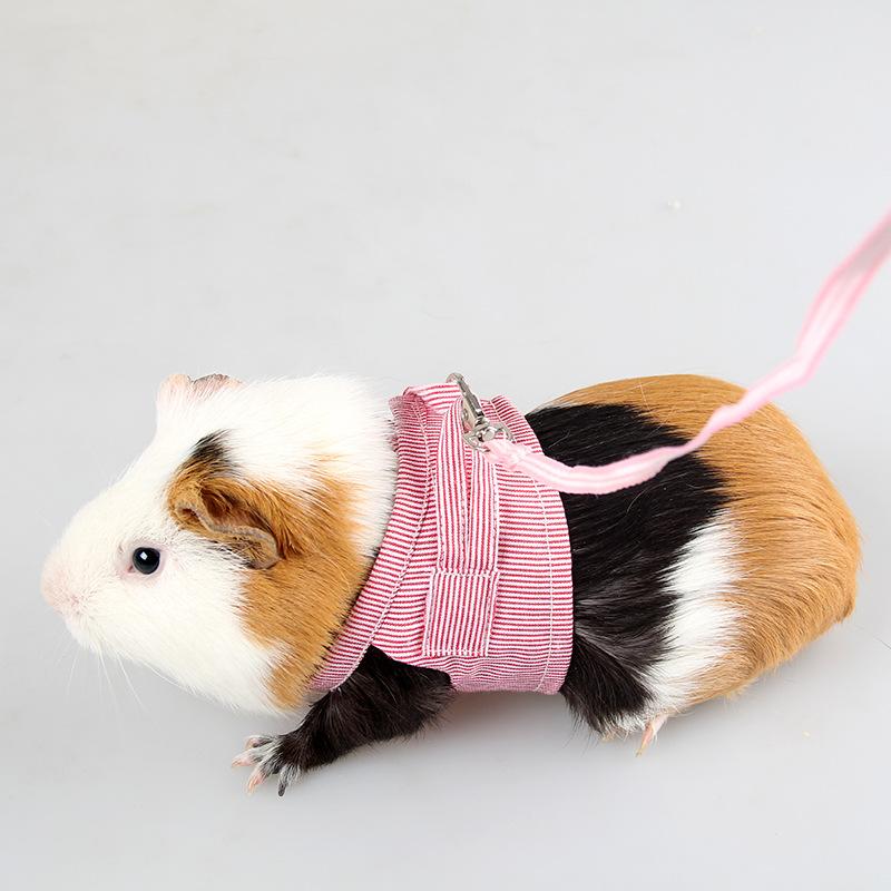 Product Introduction of S/L Small Pets Chest Strap Hamster Outdoor Traction Rope Adjustable Harness Leash Vest for Rabbit Hedgehog Chinchilla Guinea Pig 7