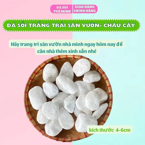 Đá Sỏi Trắng Trang Trí Chậu Cây, Hồ Cá, Trải Sàn Nhà, Trang Trí Sân Vườn, Quán Cafe, Sỏi Trắng Đẹp thuỷ  sinh 1