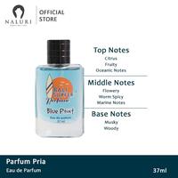 Gambar Parfum Bali Surfers EDP 37ml Perfume Elegant Orange Lavender Pria Wanita - Kuta 7 AM dari Naluri Parfum Store Kota Tangerang Selatan 3 Tokopedia