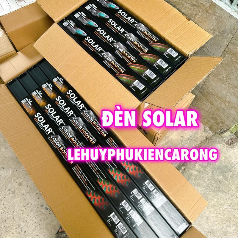 Đèn SOLAR 2 HÀNG RGB 6700K Cho Cá Rồng Cá Lóc - Led Tanning cho Cá Rồng