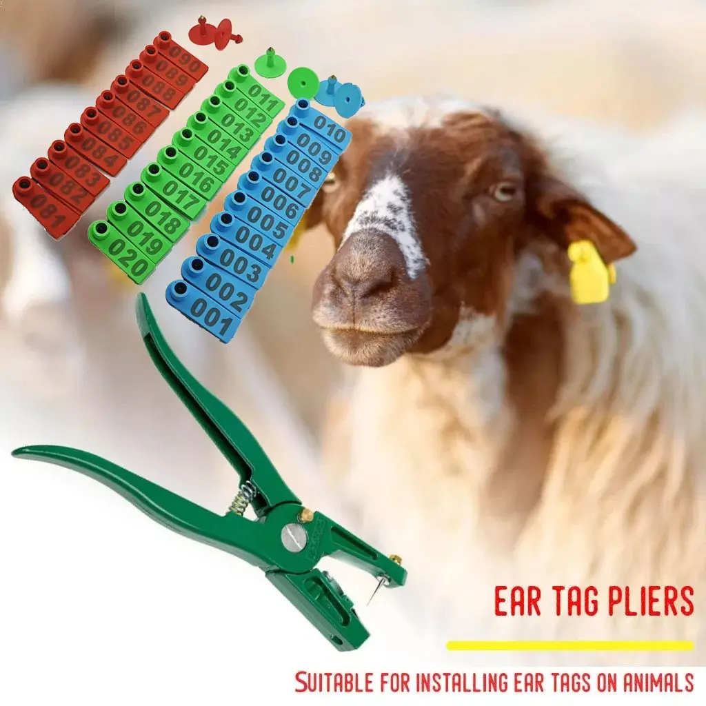 100pcs Eartag Kambing Domba  Ear Tag Sapi Babi Penanda NOMOR 1-100 Anting Identifikasi Ternak