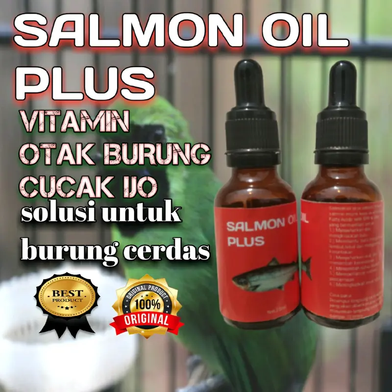 Penggacor Burung Cucak Ijo Salmon Oil Plus 0