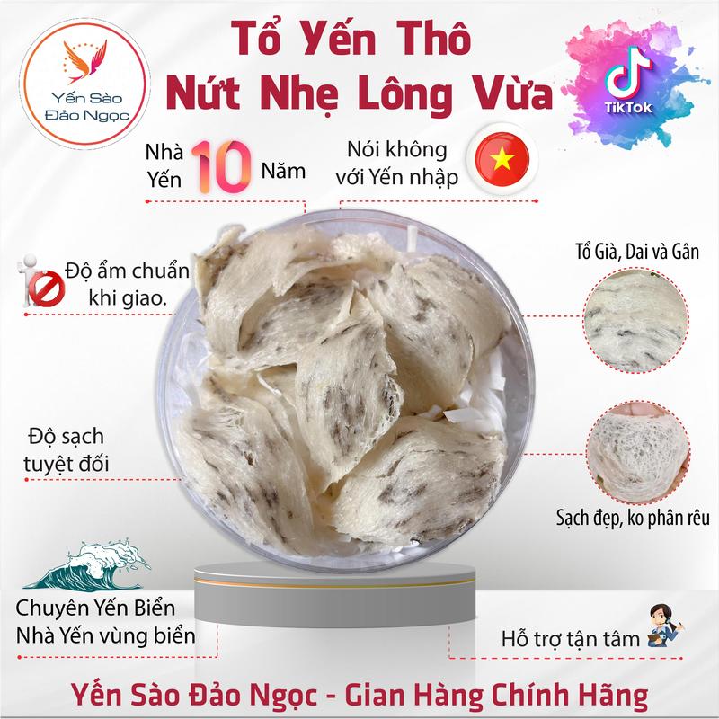 TỔ YẾN THÔ NỨT NHẸ LÔNG VỪA - YẾN SÀO ĐẢO NGỌC Food Thức Ăn - nguyên chất, Dễ Làm Sạch