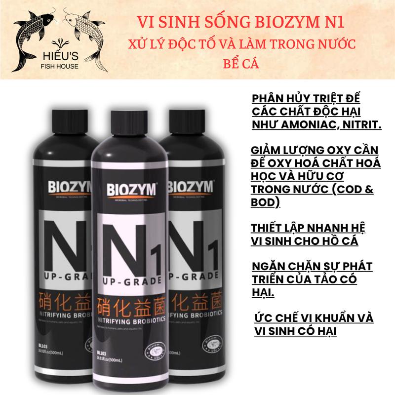 Vi sinh sống Biozym N1 xử lý độc tố và làm trong nước bể thủy sinh