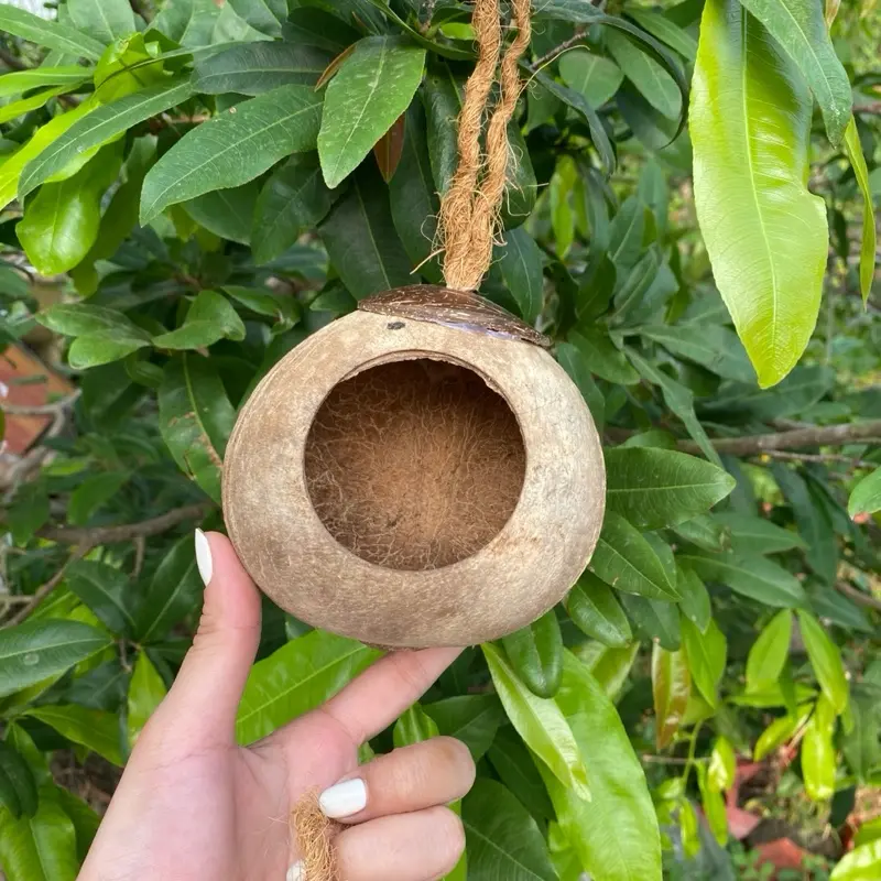 Nhà cho chim ở đây cô bác ơi 1