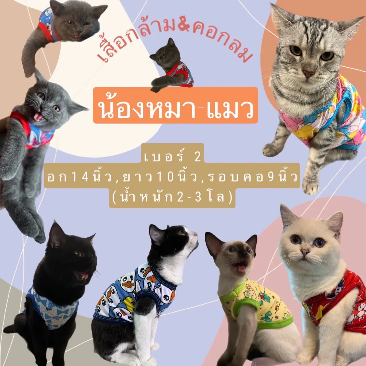 เสื้อน้องหมา-แมวเบอร์2