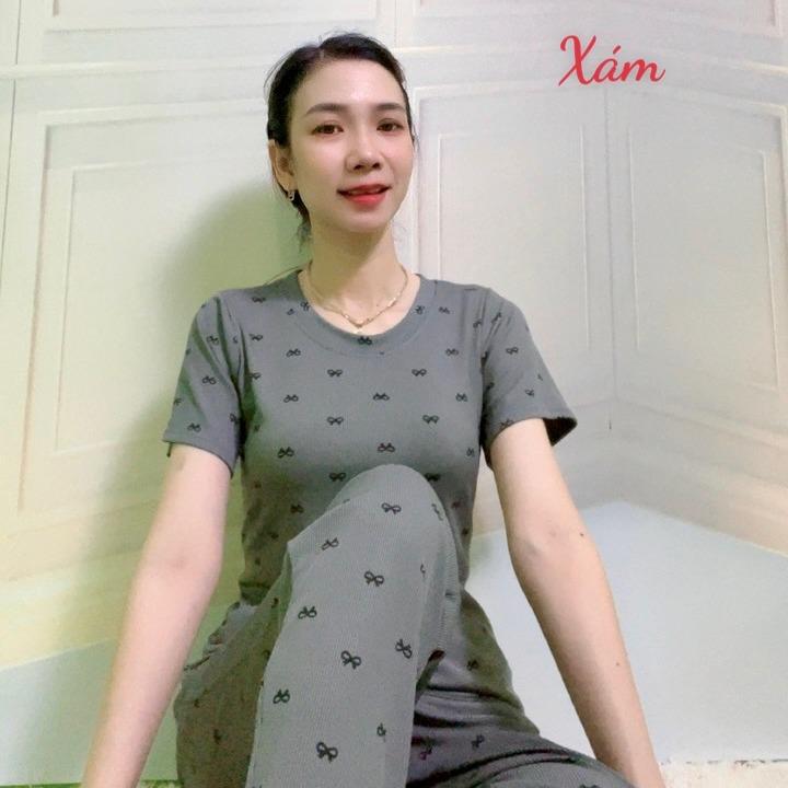 T138 SET Bộ thun in hình Tay ngắn quần dài - chất vải Tăm in - chất vải mát lạnh Nữ Women Áo Top Áo Top