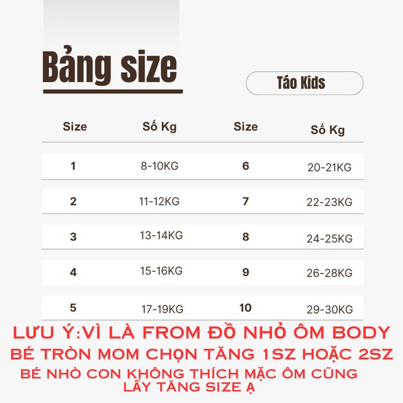Product Introduction of SET ÁO THUN HỞ LƯNG HOA HỒNG CV K LÓT BÉ GÁI 0