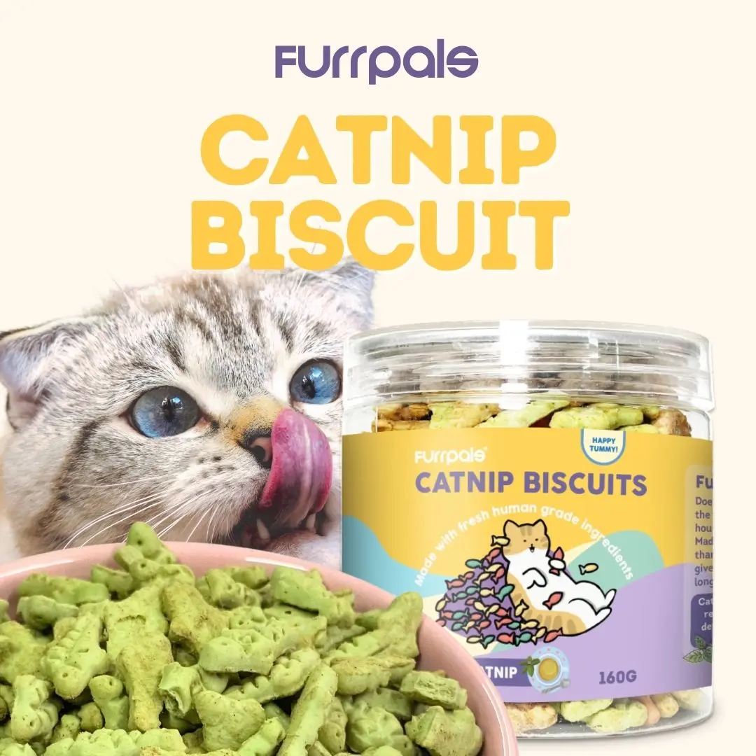 Furrpals Catnip Biscuit Cat Cookies Chicken+Fish+Mint Flavor 160g Molar And Discharge Hair Balls