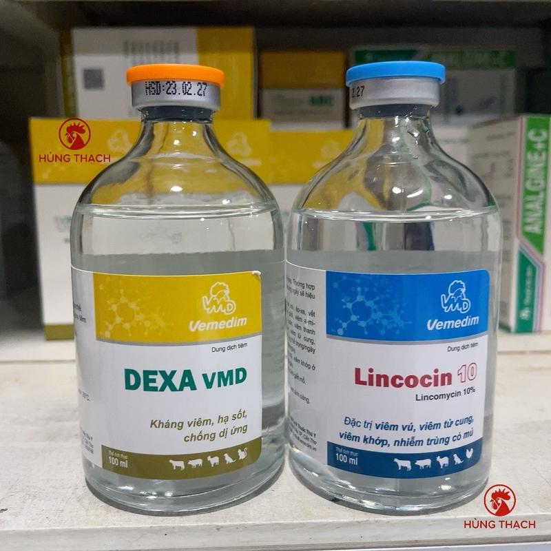 Combo bộ 2 chai tiêm trị tang gà, tiêu kén, sưng bàn, áp xe, viêm khớp, viêm da, viêm tử cung trên gà chọi, gà đòn và heo, chó, mèo, trâu, bò. (lincocin 10, dexa vmd, lincomycin), đau chân