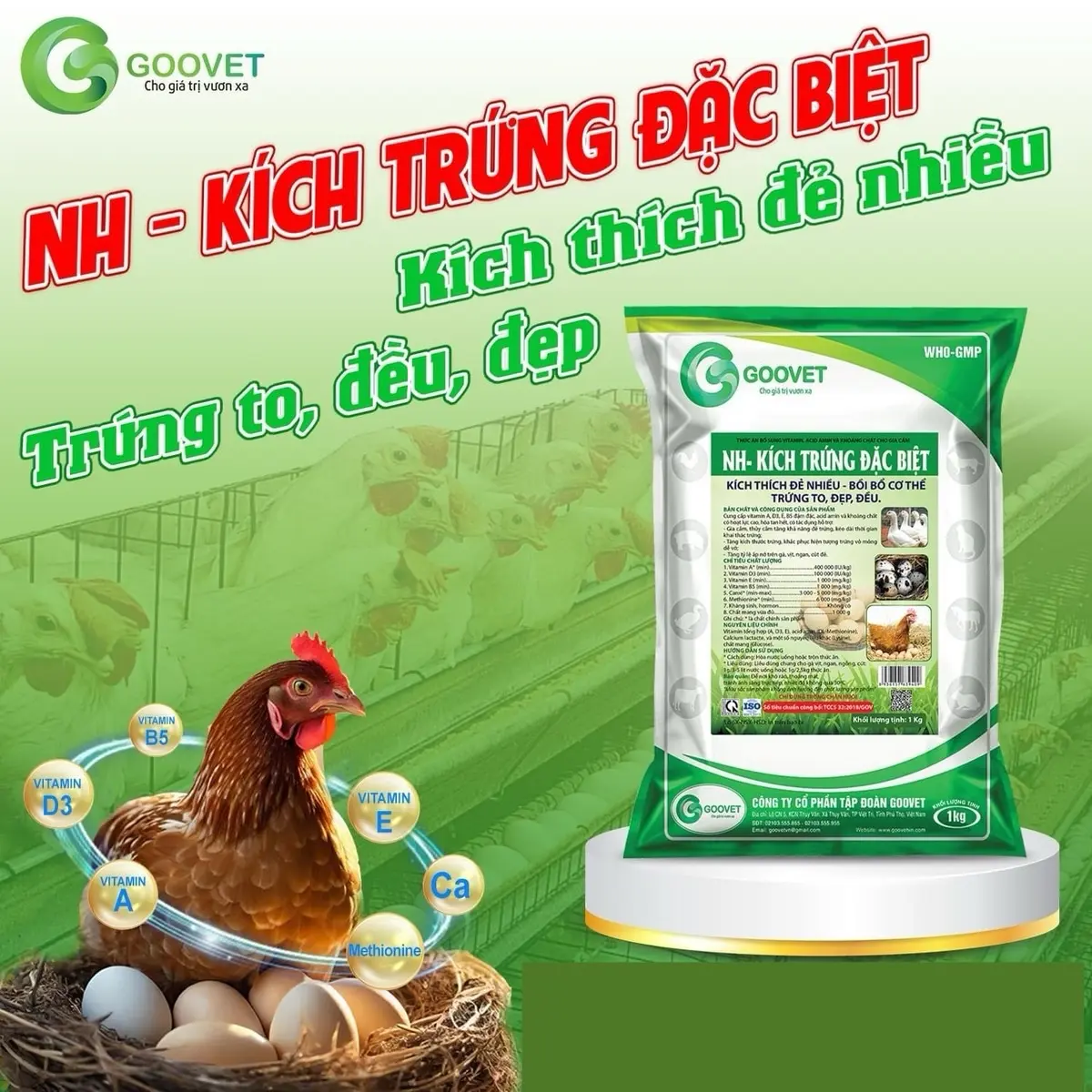 KÍCH TRỨNG ĐẶC BIỆT - Siêu tăng trứng, tăng ấp nở trên gà vịt, trứng to đều đẹp