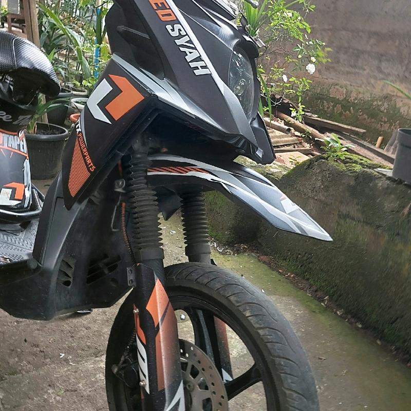 spakbor yz250 PNP X ride old 6