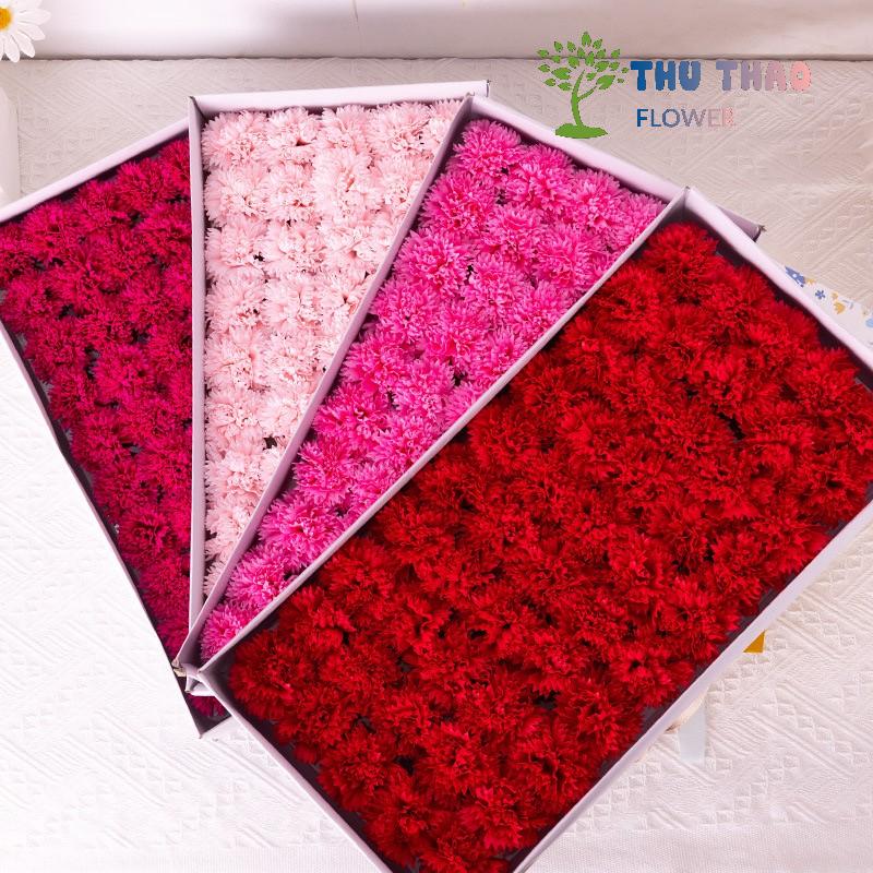 Hoa sáp cẩm chướng 50 Bông đa dạng màu sắc dùng để cắm hoa bó hoa và làm quà tặng