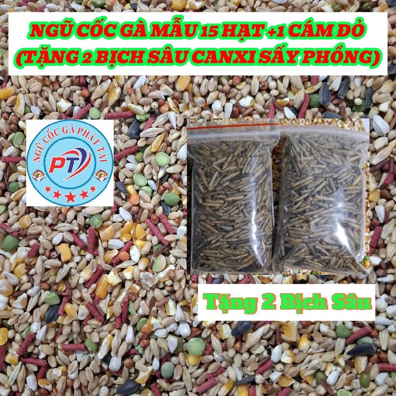 10 kg Ngũ Cốc Gà 15 Loại Hạt+1 Cám Đỏ Tặng 2 bịch Sâu Canxi sấy phồng