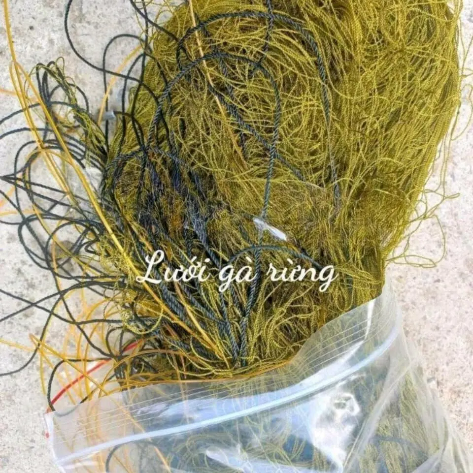 Lưới gà rừng dài 50m mắt 12 phân viền bấm chì chống rối