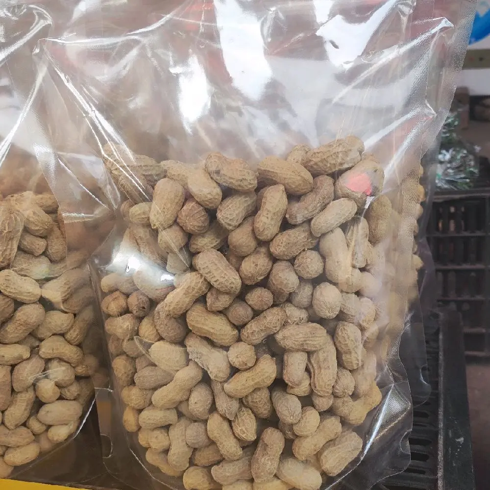 Lạc Vỏ Rang Sẵn Túi Zip Ăn Thơm Ngậy Bùi Ngon lạc đỏ dân tự trồng