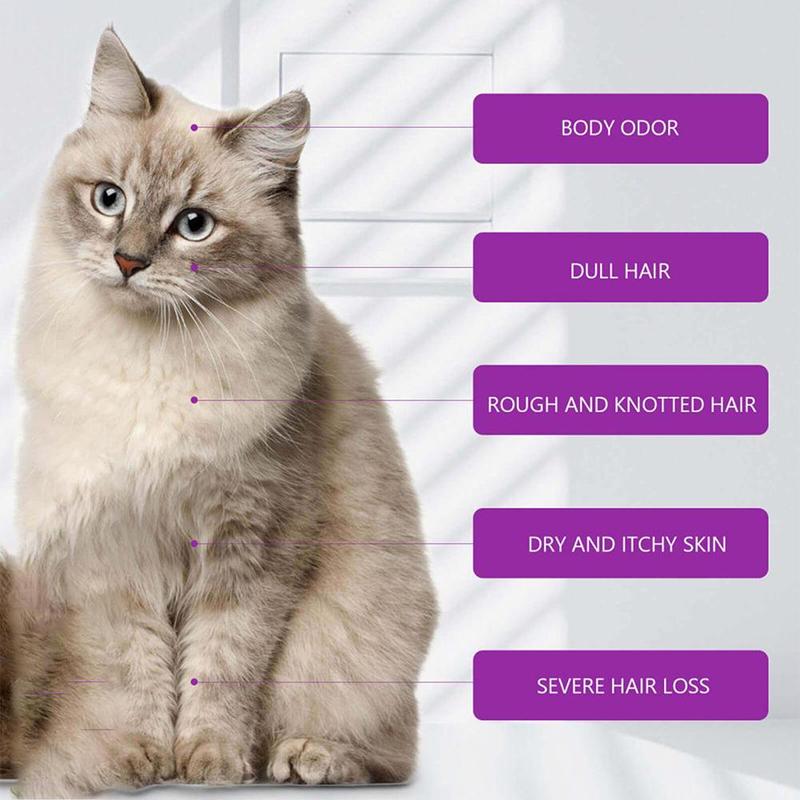 Product Introduction of Revitalize Your Pets Fur with Our OdorEliminating and Nourishing Shampoo I1D3 28