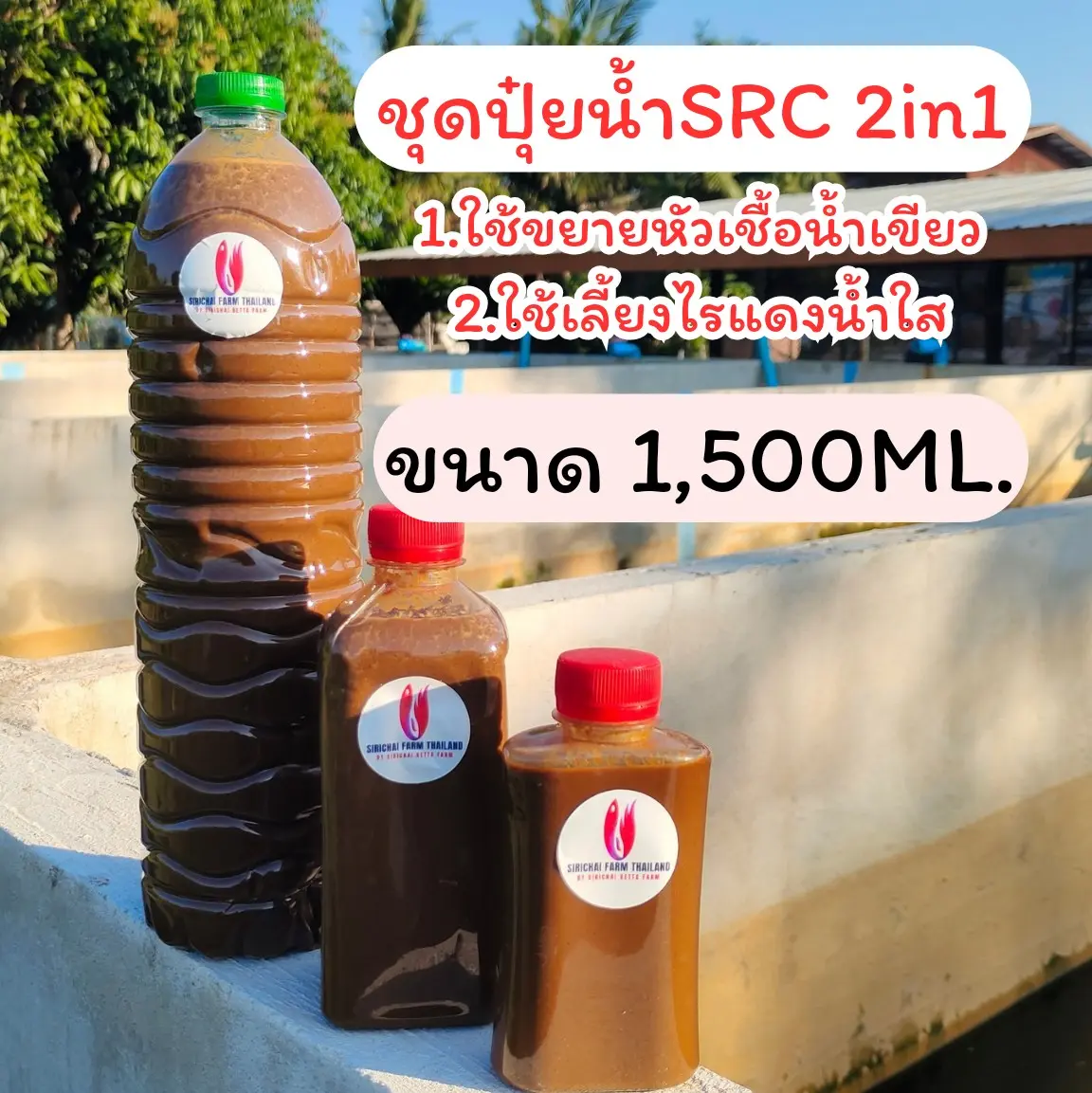 ปุ๋ยน้ำSRC 2in1 ขนาด1,500ML ไว้ขยายน้ำเขียวและเลี้ยงไรแดงน้ำใสได้ด้วย