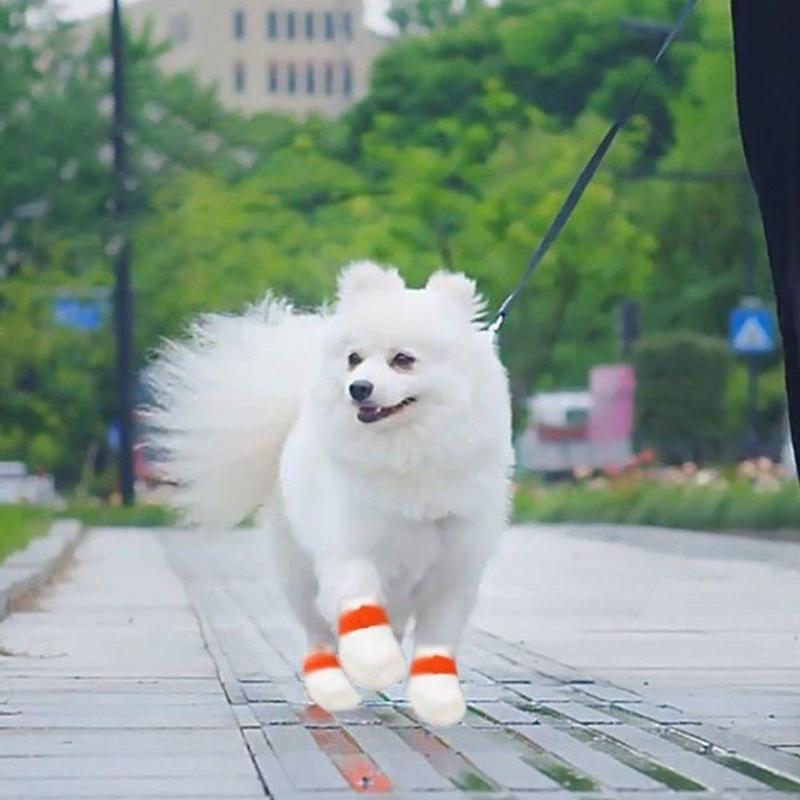 Product Introduction of 20pcs Pet Disposable Foot Covers Dog Anti-Dirty Shoe Covers Dog Socks Waterproof Anti-Dirty W5U1 25