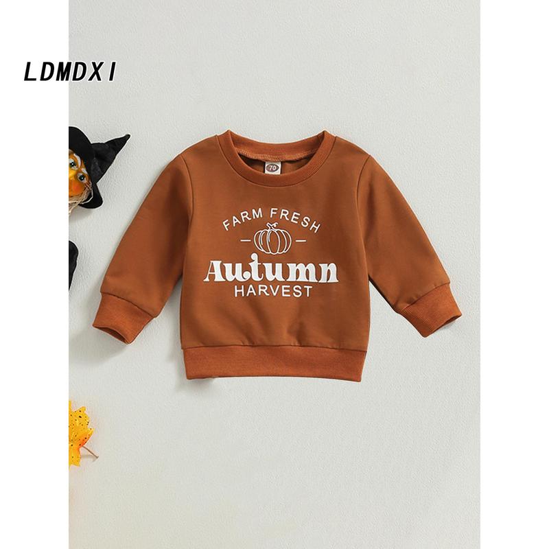 Kids Halloween Sweatshirt Pumpkin Letter Print Long Sleeve Pullovers 2