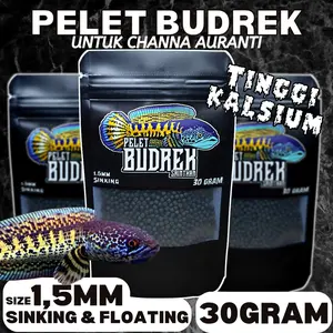 Pelet Budrek Auranti SaintHan booster warna biru dorsal, yellow rim, gondrong dan highfin di channa auranti