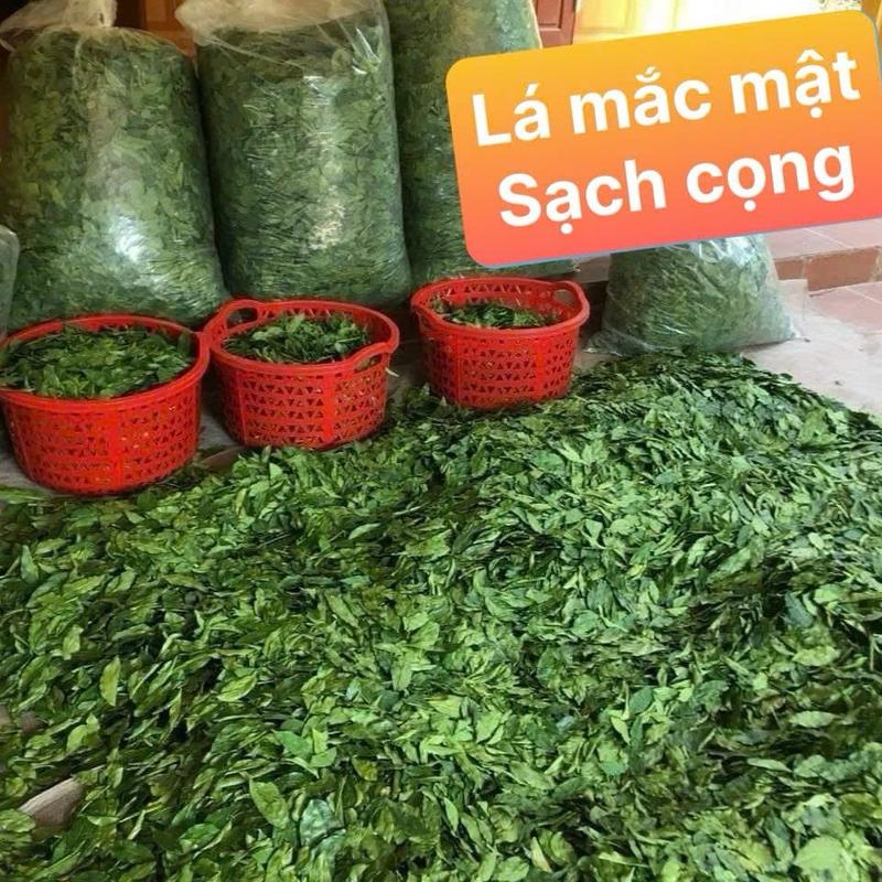 Lá mắc mật sây khô lạnh không cành không cọng.đã qua xử lý sạch sẽ 0