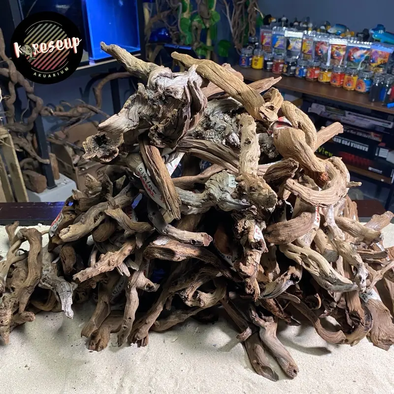 AKAR AQUASCAPE SANTIGI LAUT TENGGELAM RANDOM (size SS) untuk hiasan Aquarium 30cm 1