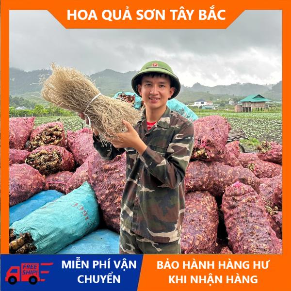 Miến dong làm thủ công của bà con huyện yên châu tỉnh sơn la HOA-QUẢ-SƠN-TÂY-BẮC Food Thức Ăn 4
