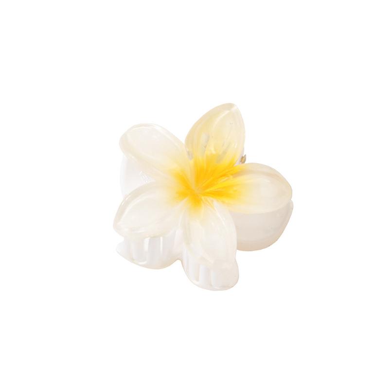 Product Introduction of Klip Rambut, Saiz Kecil (4cm), Warna Kecerunan, Rekaan Bunga Plumeria, Diperbuat daripada Bahan Akrilik, Tidak licin, Sesuai untuk Ekor Kuda dan Ponytail, Jepit Rambut untuk Wanita 14