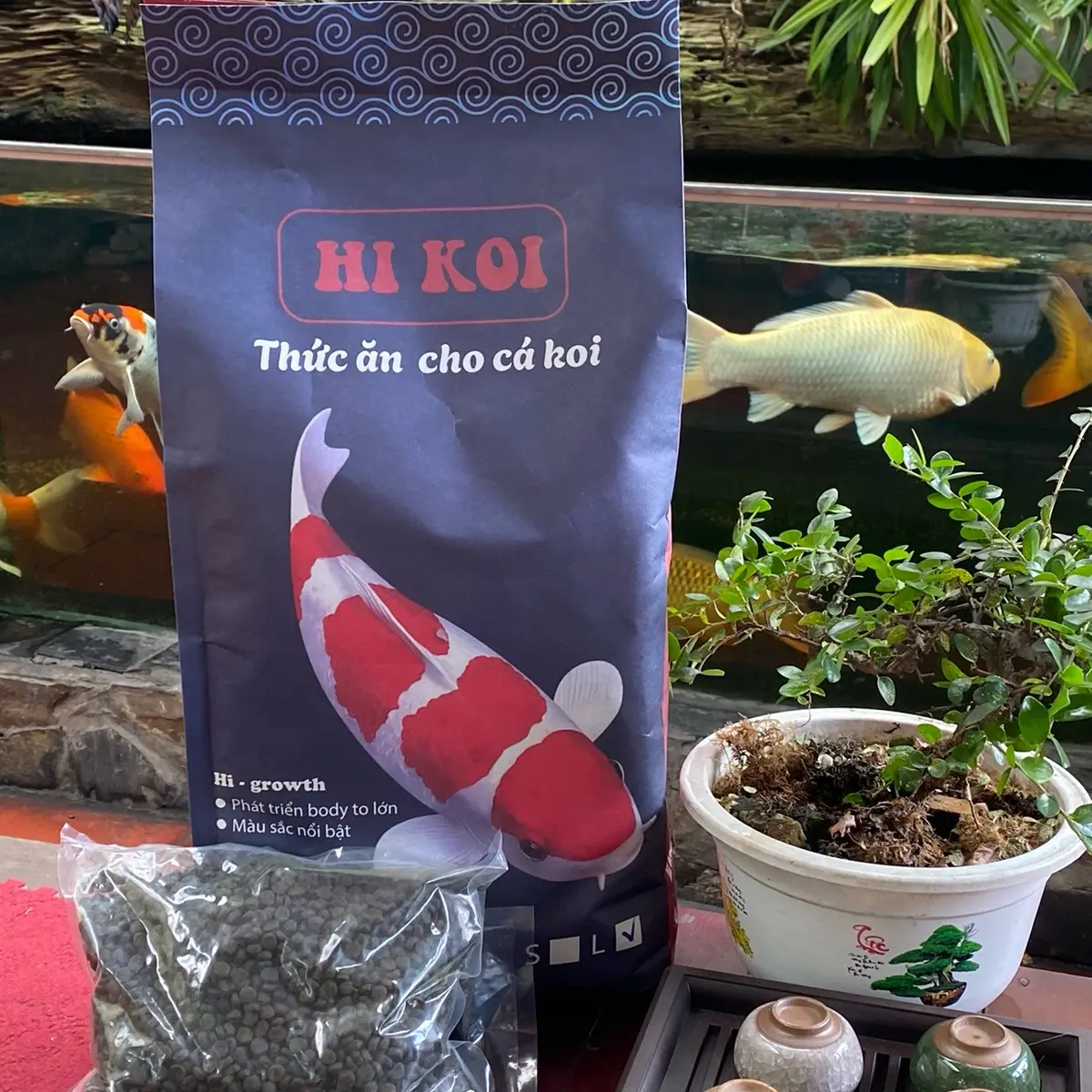 5KG Cám Cá HiKoi Hạt Chìm