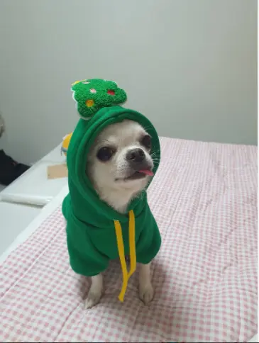 Áo nỉ hoodie giáng sinh dành cho chó mèo hình cây thông và ông già noel 5