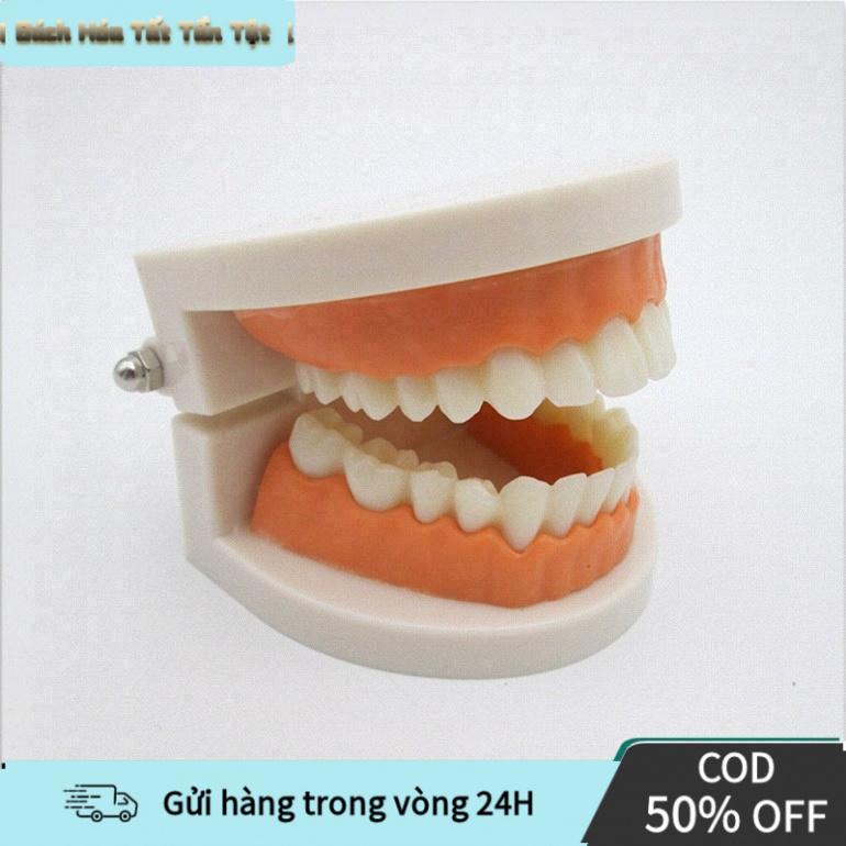 【COD】Mô hình hàm răng giả dùng cho mục đích giảng dạy và hướng dẫn học sinh…