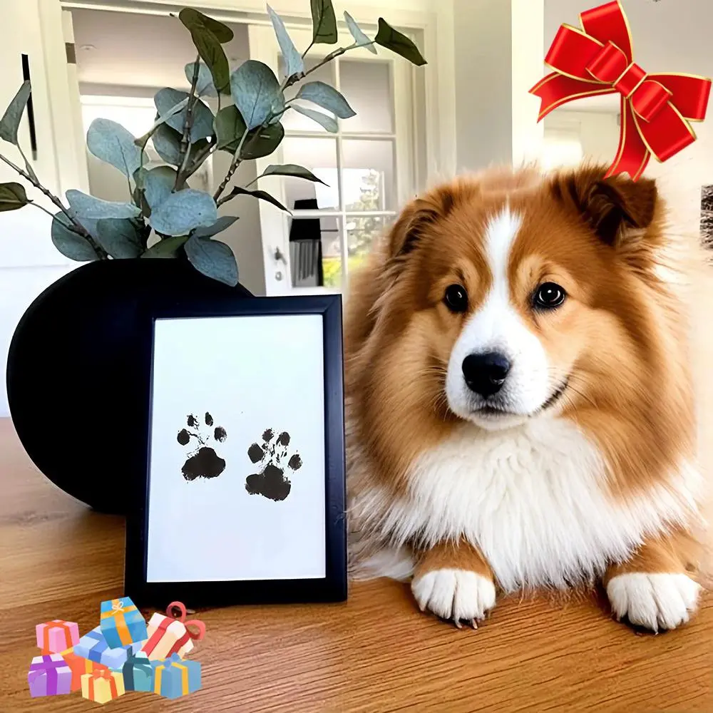 Easy-Clean Pet Paw Print Photo Frame Kit, 2 Counts No-Mess Ink Pad Set for Dogs, S/M Size, Christmas Gift