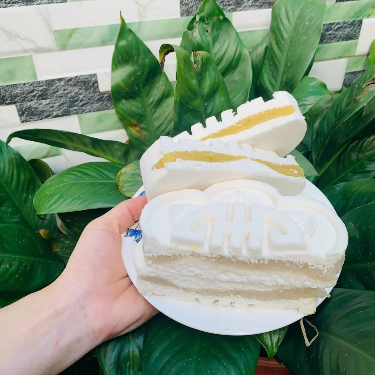 COMBO 10 BÁNH IN NGUYỆT THƠM NGON, NHÂN DỪA VÀ ĐẬU XANH Cake