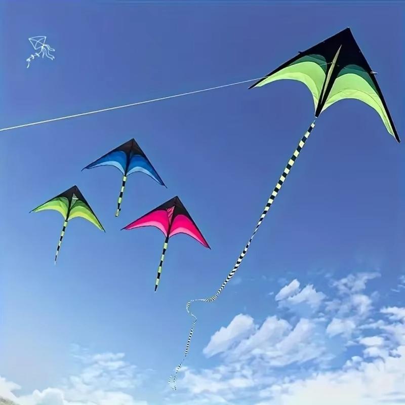 Product Introduction of New Easy Fly 1.6m Large Delta Kite with 100M Kite Line Long Tail Rainbow Kite Ripstop Children Outdoor Toys Kites Family Trips 17