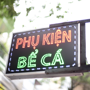 Phụ kiện bể cá SH-Aquarium