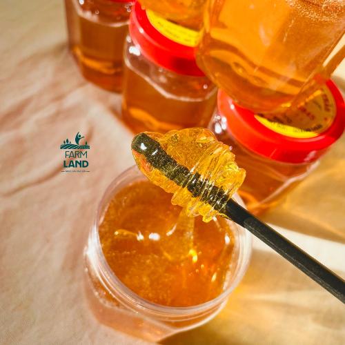 Combo 2 hủ kẹo mạch nha Quảng Ngãi 400g Mẫu mới | Land Farm | Đặc sản Quảng Ngãi
