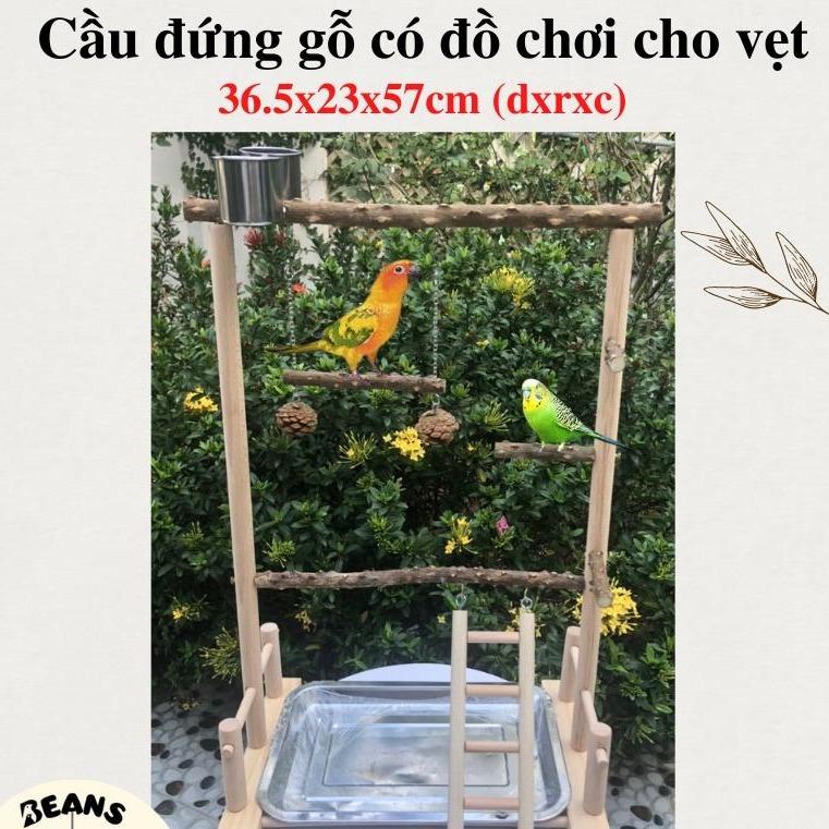 Cầu đứng có đồ chơi cho chim, vẹt nhỏ, vẹt trung như yến phụng, lovebird, cock, greencheck, sun, ngực hồng