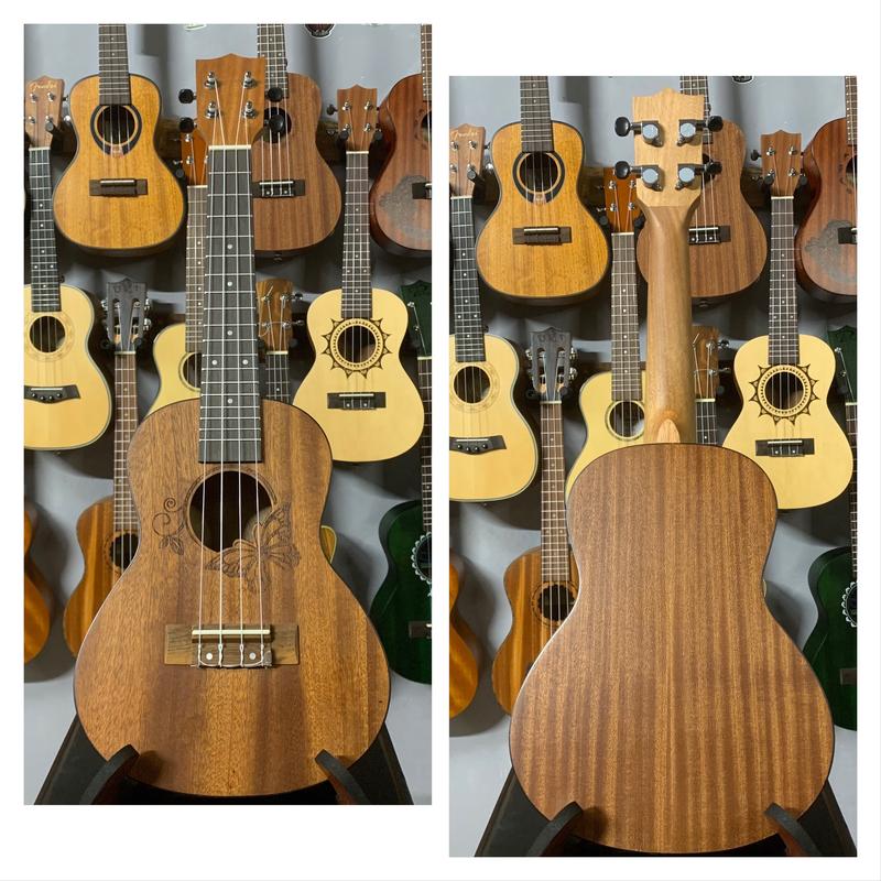 Product Introduction of ĐÀN UKULELE CONCERT 23' BUTTERFLY Đồ Chơi Guitar 9