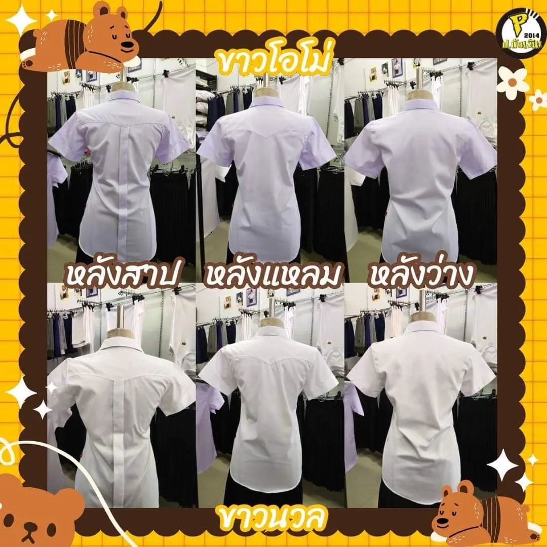 เสื้อนักศึกษา ทรงเข้ารูป  /แหลม /ว่าง/สาป