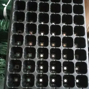 Traysemai tempat pembibitan benih lubang 105 produk berkwalitas murah