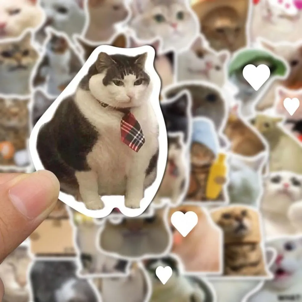 50PCS Toy Cute Meme Cat Stickers Funny Paper Stickers DIY Luggage Decals Animal Stickers Girls
