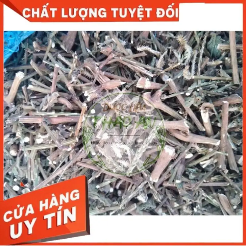 1 kg cây CỎ XƯỚC khô (mới, đẹp, loại 1) - cơ sở dượċ liệu Thảo An 6