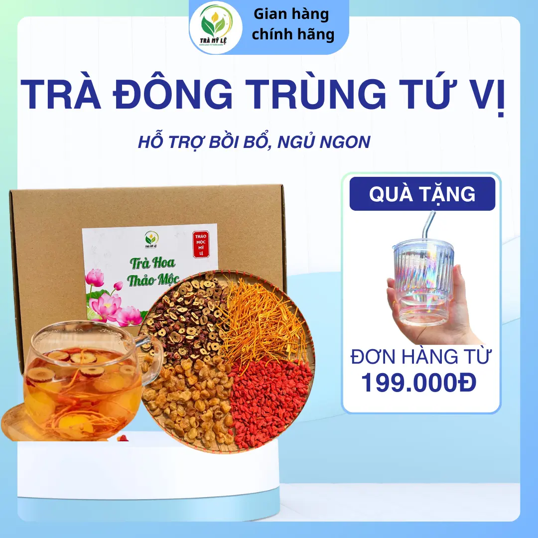 Trà Đông Trùng Tứ Vị - Trà Treo Mỹ Lệ gồm: Nấm đông trùng hạ thảo, Táo đỏ, Kỷ Tử, Long Nhãn (30 gói)
