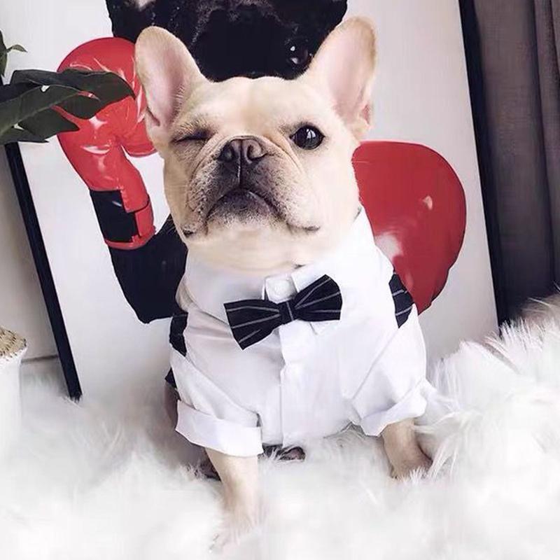 Bộ Đồ Thú Cưng Có Nơ, Trang Phục Ngắn Tay Cho Mèo, Bộ Đồ Đám Cưới Cho Chó, Áo Sơ Mi Trang Trọng Cho Chó Nhỏ 4