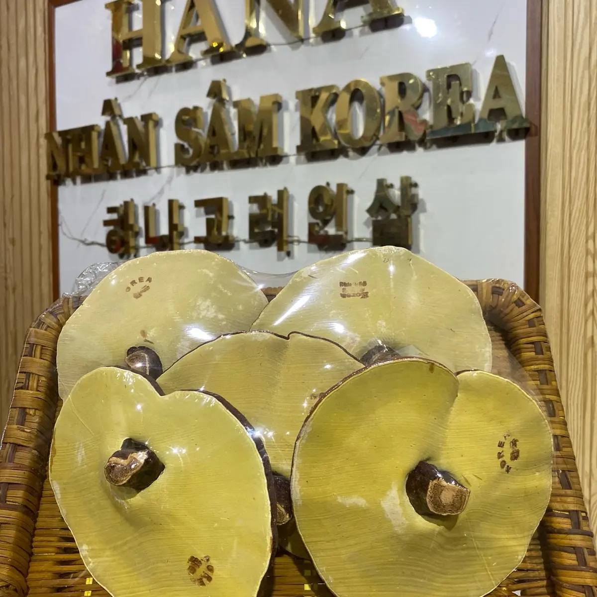 Nấm Linh Chi size to khoảng 10 chân nấm 1 kg Hàn Quốc.Khay này nửa kg nhé