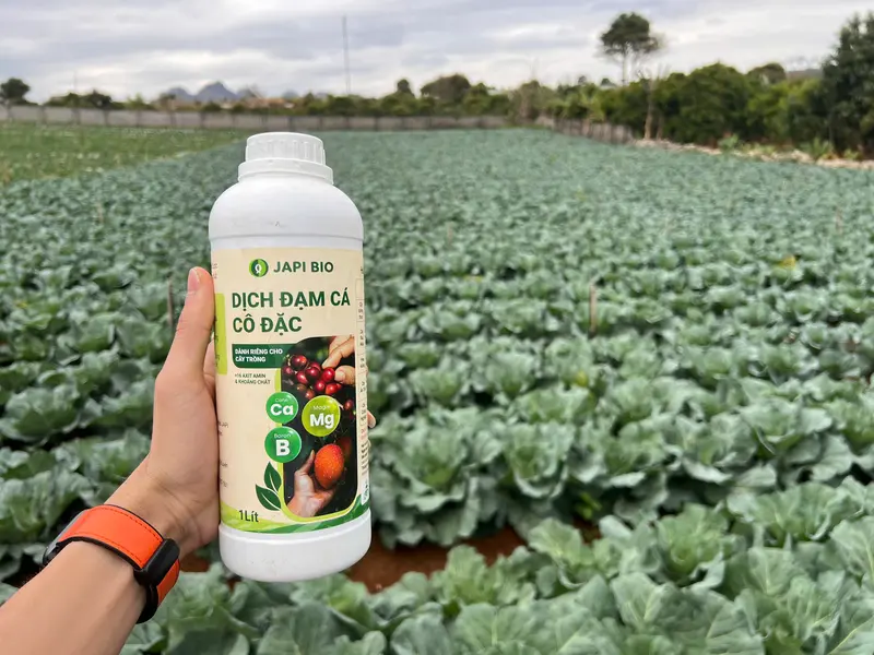 Phân bón hữu cơ Japi Bio (chai 1L) - Dịch đạm cá Amino, giúp cây xanh lá, bén rễ, đất tơi xốp 7